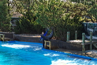 _1010085_out