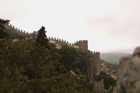 crw_2086