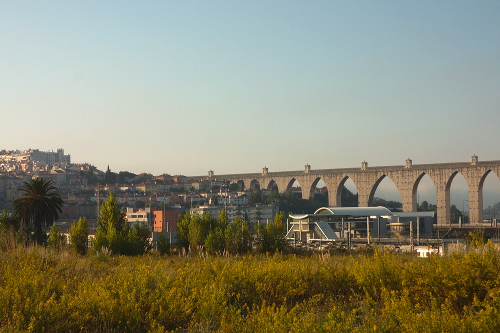 crw_1653.jpg