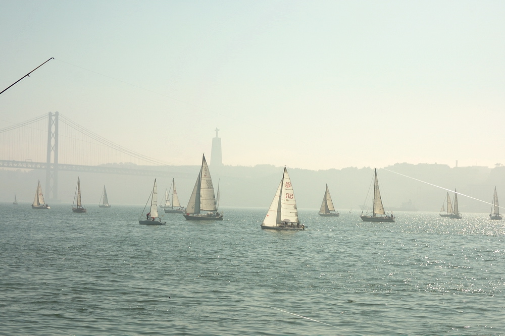 crw_1695.jpg