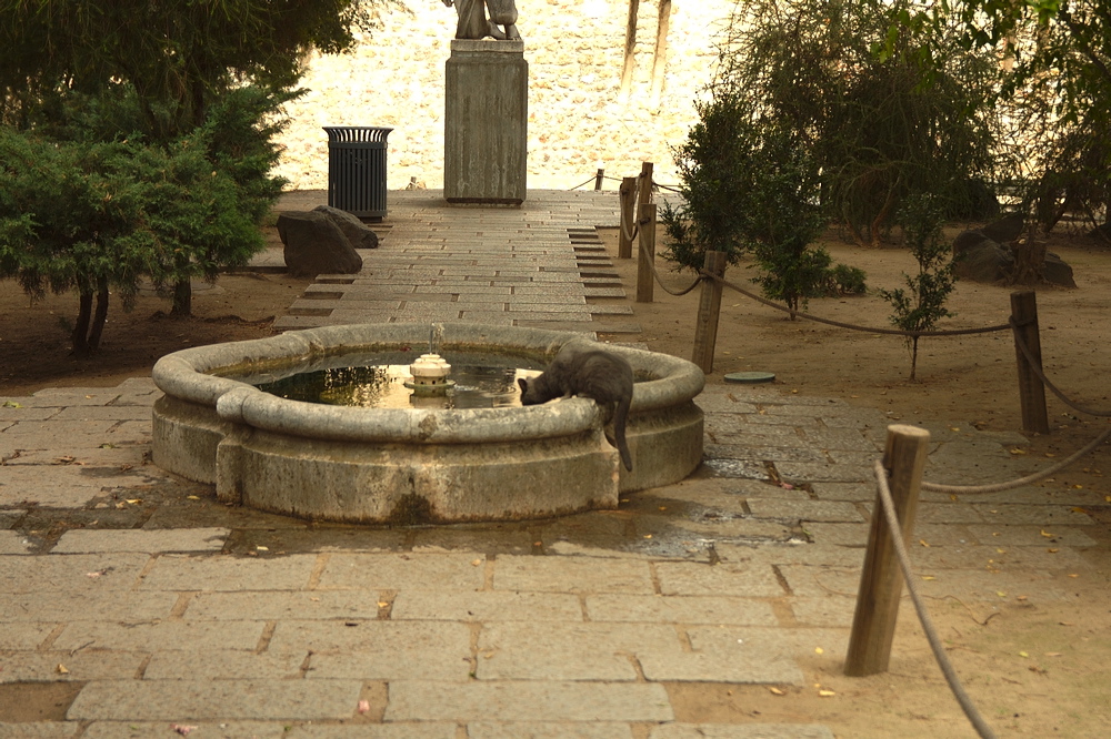 crw_1835.jpg