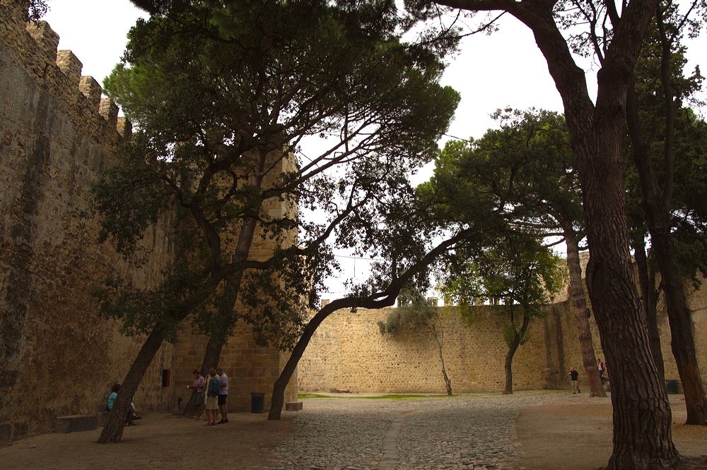 crw_1843.jpg