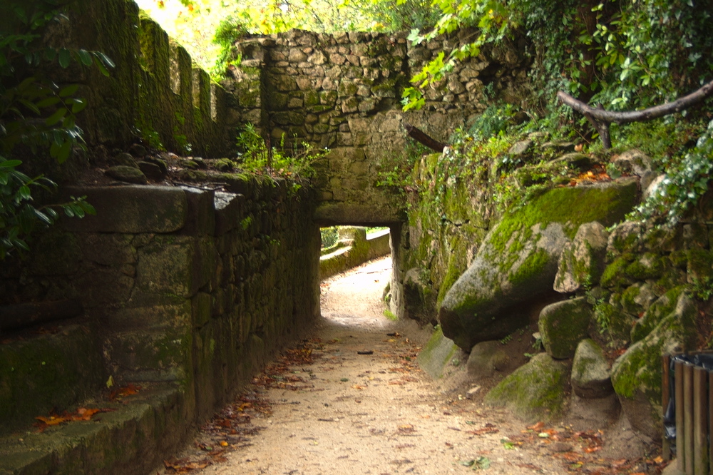 crw_2060.jpg