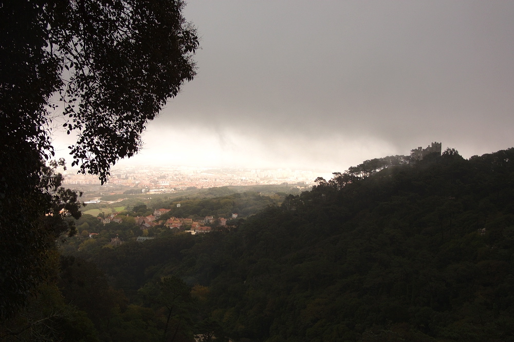 crw_2065.jpg
