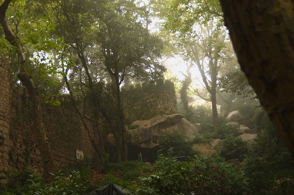 crw_2074.jpg