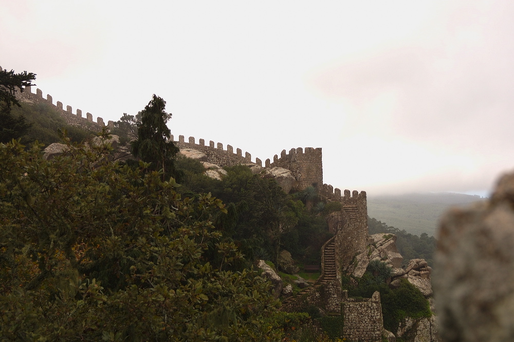 crw_2086.jpg