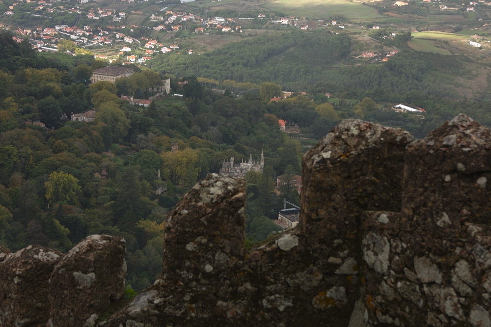 crw_2091.jpg