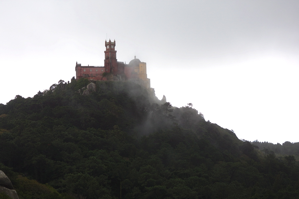 crw_2137.jpg