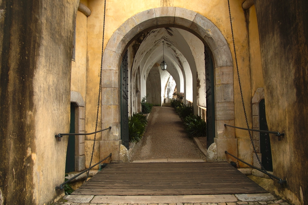 crw_2175.jpg