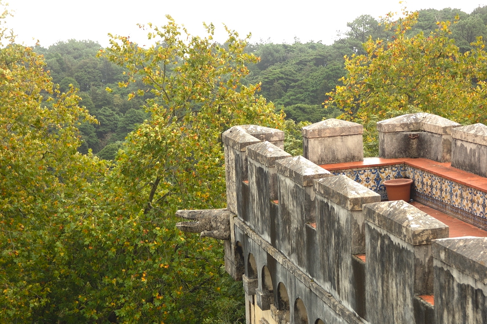 crw_2188.jpg