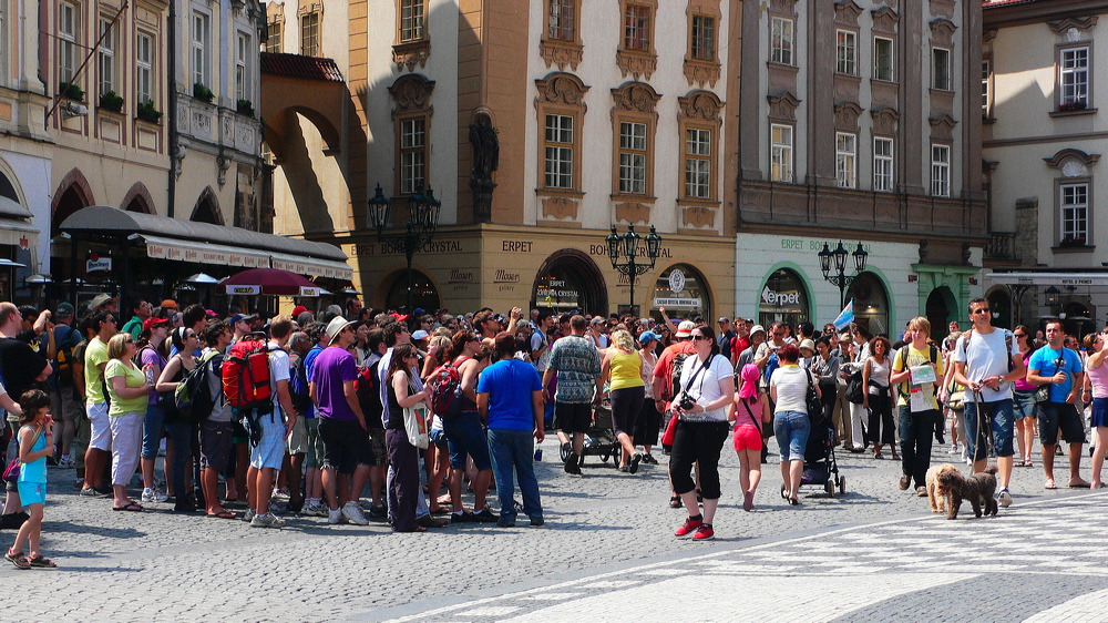 p1010680-out.jpg