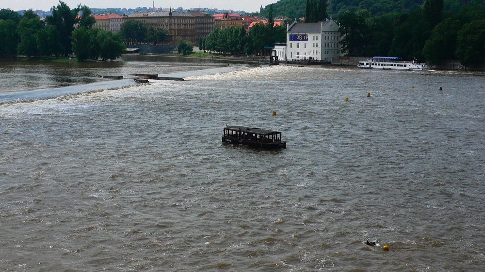 p1010712-out.jpg