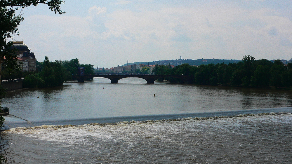 p1010713-out.jpg