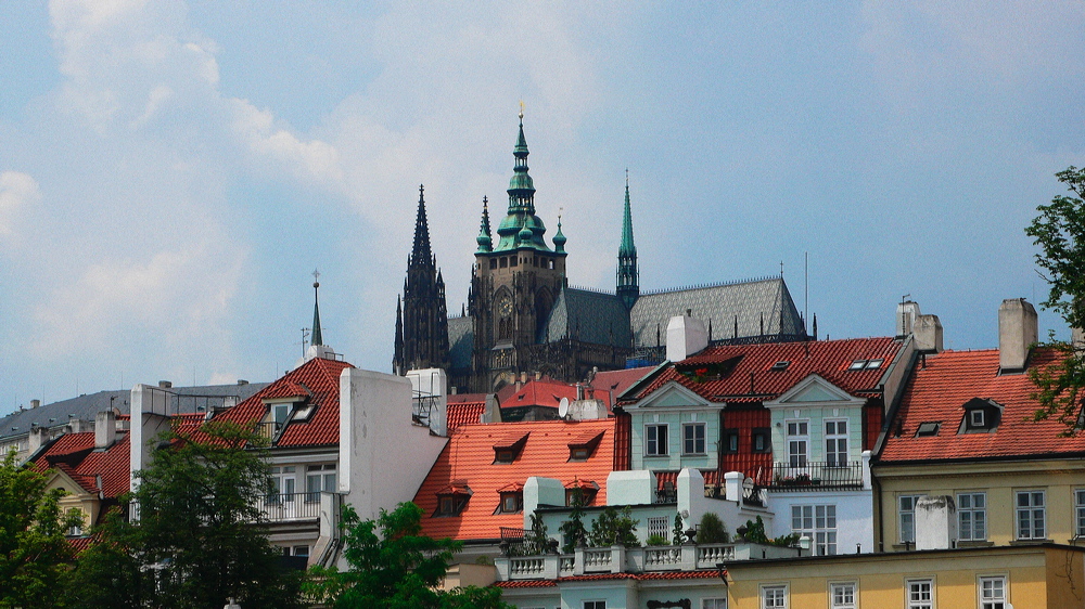 p1010728-out.jpg