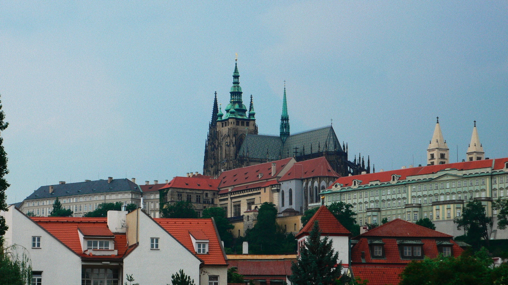 p1010779-out.jpg