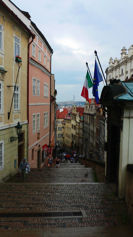 p1010786-out.jpg