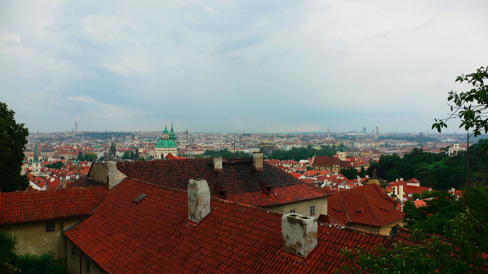 p1010793-out.jpg