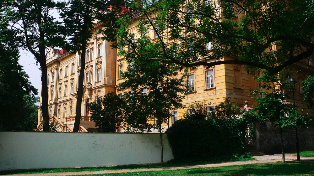p1010813-out.jpg