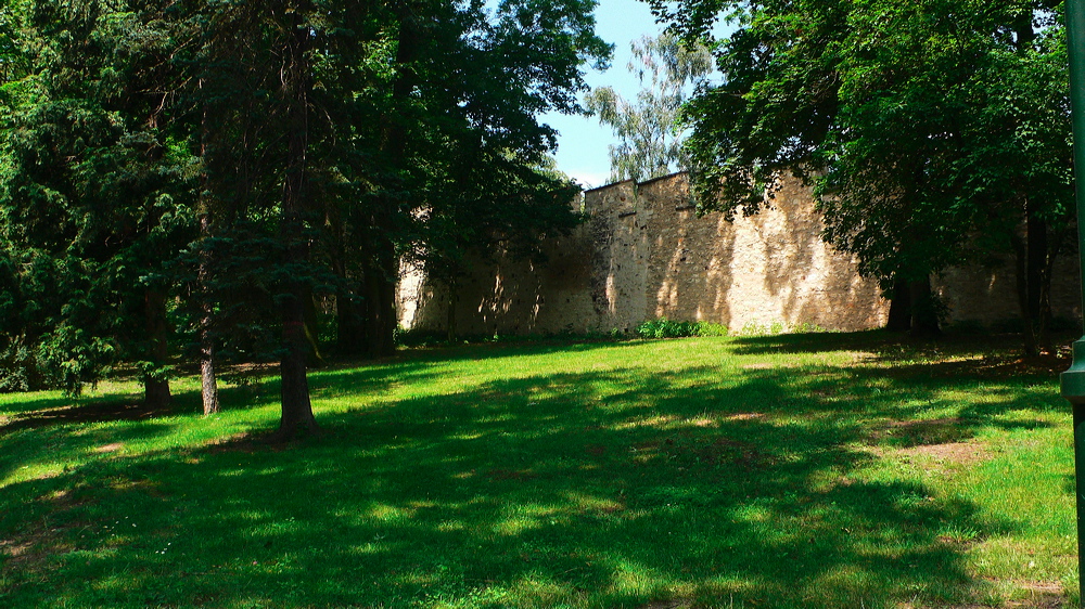 p1010822-out.jpg