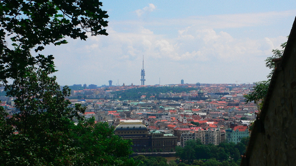 p1010828-out.jpg