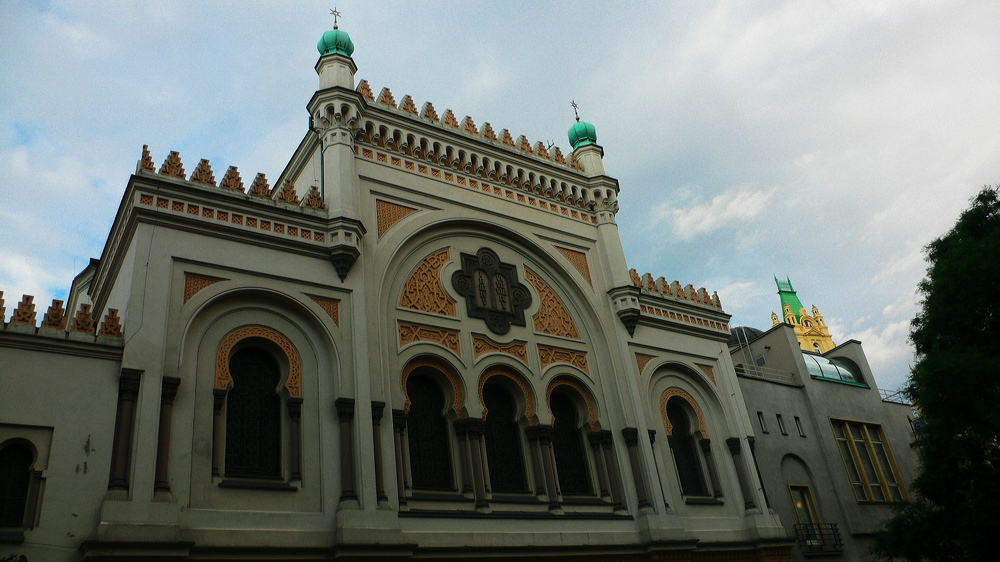 p1010966-out.jpg