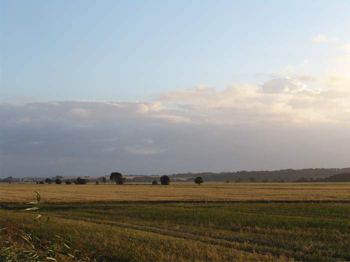 DSC02000.JPG