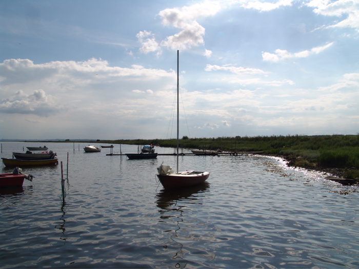 DSC02070.JPG