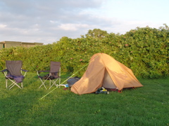 DSC01985.JPG