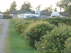 DSC01988.JPG