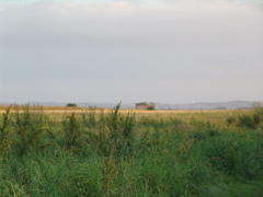 DSC01989.JPG