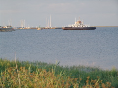 DSC01995.JPG