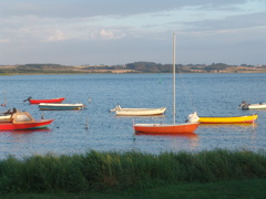 DSC01997.JPG