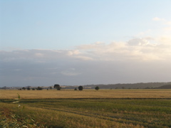 DSC02000.JPG