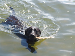 DSC02042.JPG