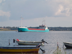 DSC02049.JPG