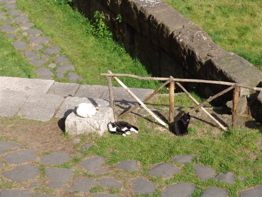 dsc01619.jpg