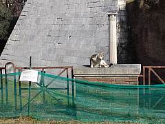 dsc01617.jpg