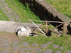 dsc01619.jpg