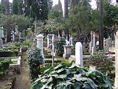 dsc01639.jpg