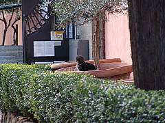 dsc01645.jpg