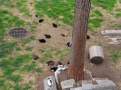 dsc01301.jpg