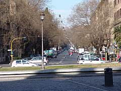 dsc01428.jpg