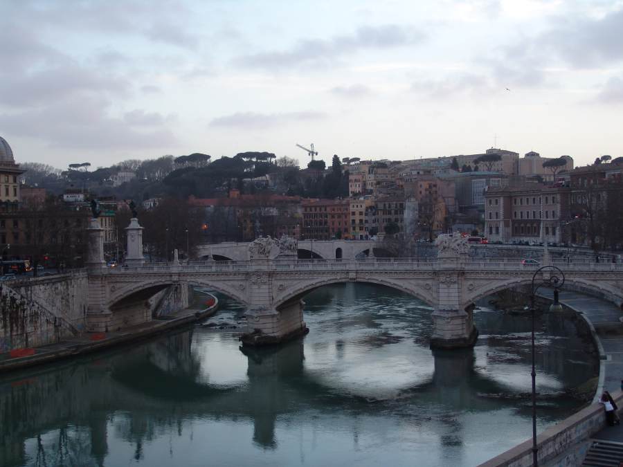 dsc01253.jpg