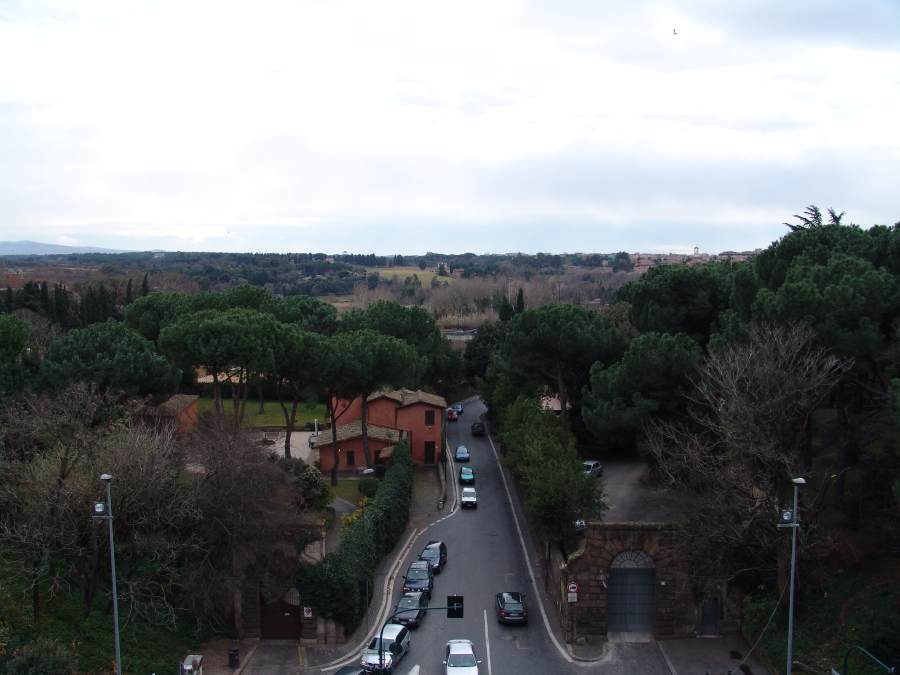 dsc01372.jpg