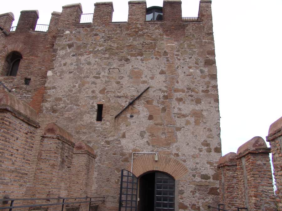 dsc01378.jpg