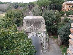 dsc01374.jpg