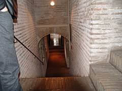 dsc01389.jpg