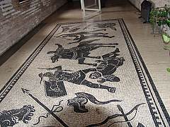 dsc01396.jpg