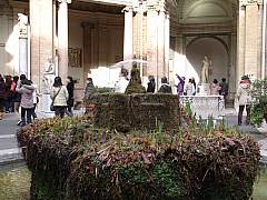 dsc01555.jpg