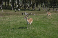 crw_3813